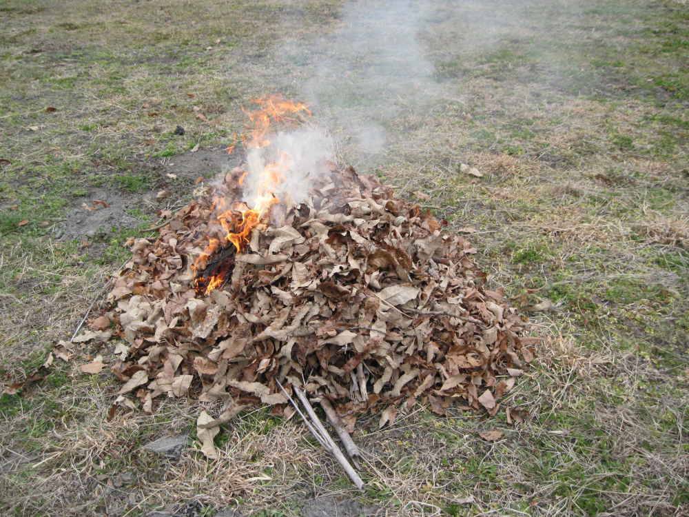 日光・鬼怒川温泉にあった格安宿：コンドミニアム・スクウェアヒルズ：焼き芋